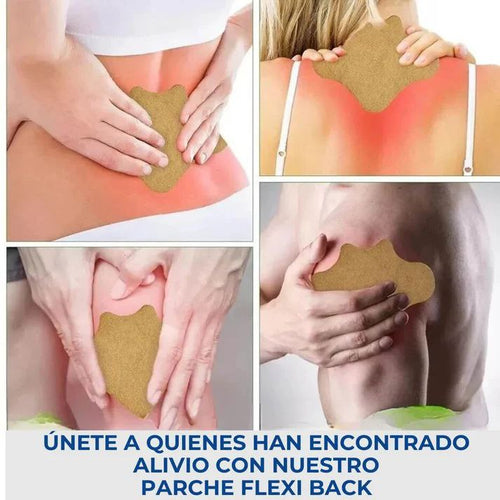 Parches HerbalFlex